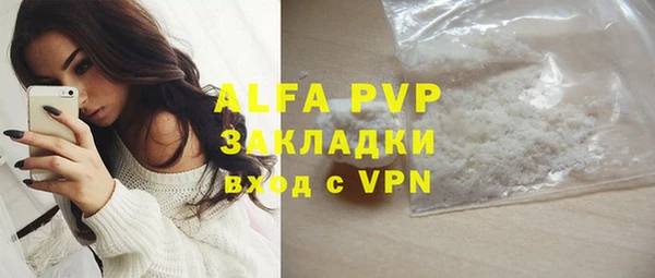 индика Новочеркасск