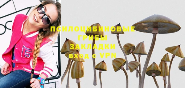 MESCALINE Медногорск
