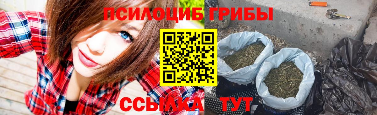 Псилоцибиновые грибы Psilocybine cubensis Ногинск