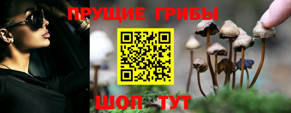Псилоцибиновые грибы ЛСД  Псилоцибиновые грибы ЛСД  Вход с VPN  Ногинск 